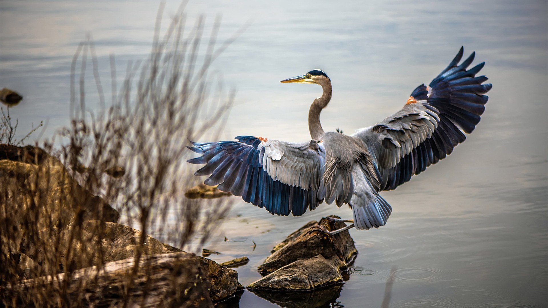 NBA最新转会动态：哪些球员即将飞抵新东家？，nba球员转会有转会费吗