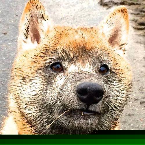 FB体育APP-_儿童攀岩比赛：潜能激发的起点_，儿童攀岩的好处和危害