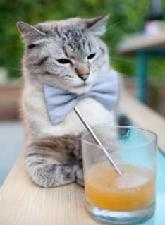 _火箭队逐步走出低谷，状态持续提升_，火箭队队