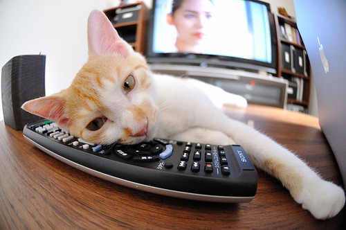 FB体育官方-欧冠“幕后故事”：那些鲜为人知的精彩瞬间，欧冠的奇迹