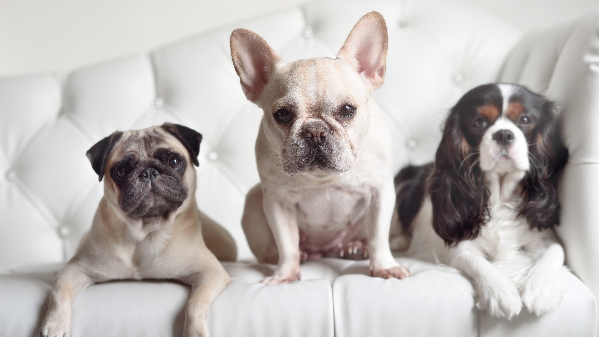 fb体育全站-眺望极限：极地探险运动比赛正式启动，极地探险介绍