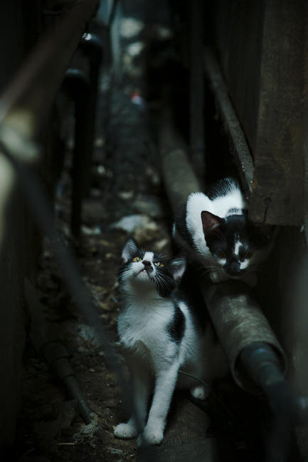 国民队战术调整助力重要胜利，国民党足球