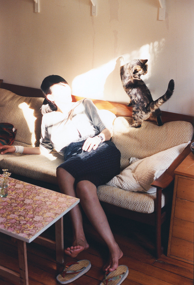 日本马术协会与兽医合作，开展马匹疾病预防与治疗研究。，日本马术场地