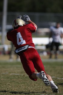 fb体育在线官网-德甲球队视频分析辅助防守站位调整的实证研究，德甲身体对抗