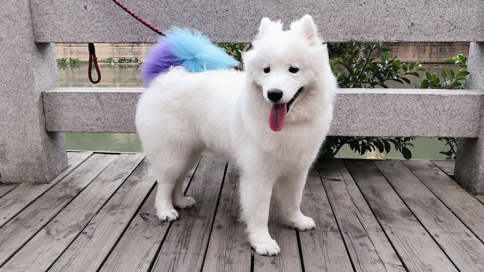 青少年体育参与的社会支持网络构建策略,青少年体育参与的社会支持网络构建策略包括