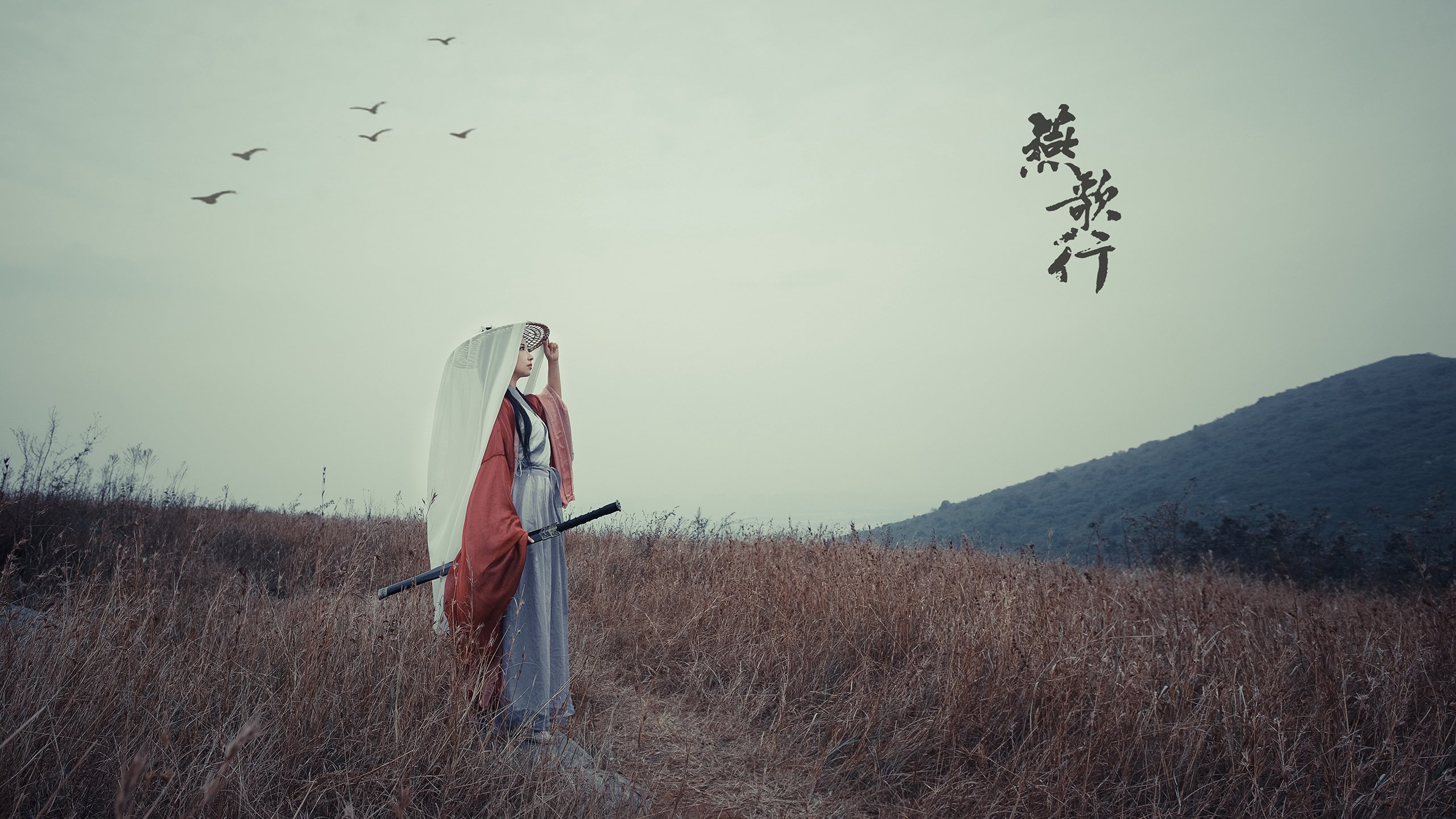 FB体育下载-体育新闻中心上线体育话题热度追踪与趋势洞察平台，体育新闻!